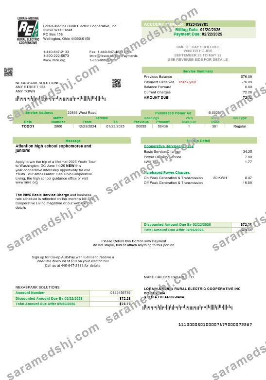 USA Ohio Lorain-Medina Rural Electric business utility bill template in Word and PDF formats